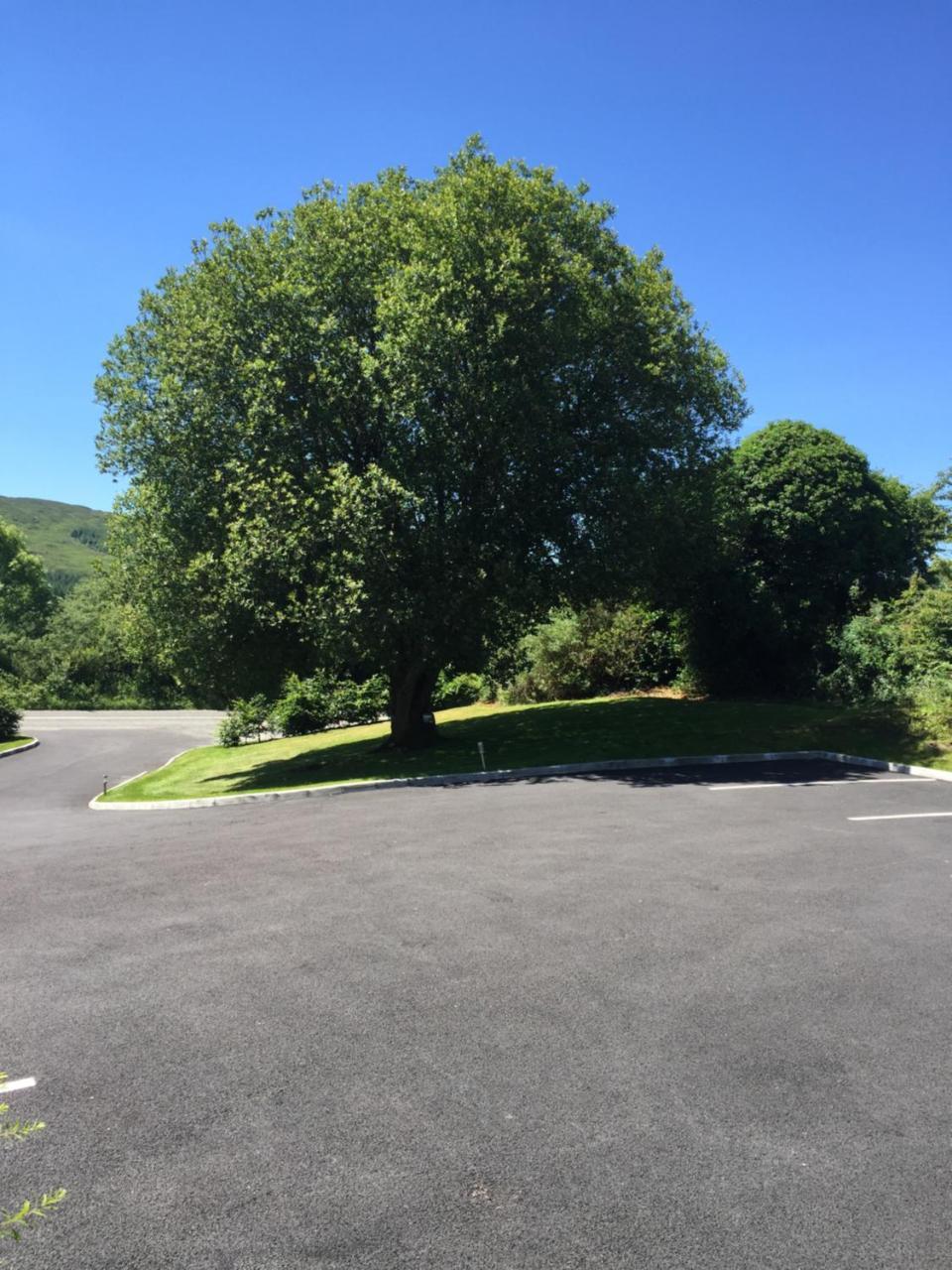 2 Mile Lodge Kenmare Buitenkant foto